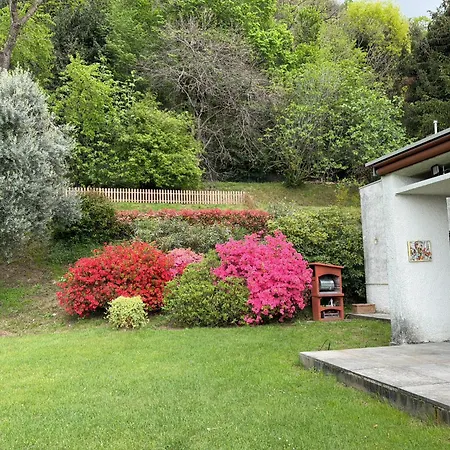 Rossini * Tavernerio